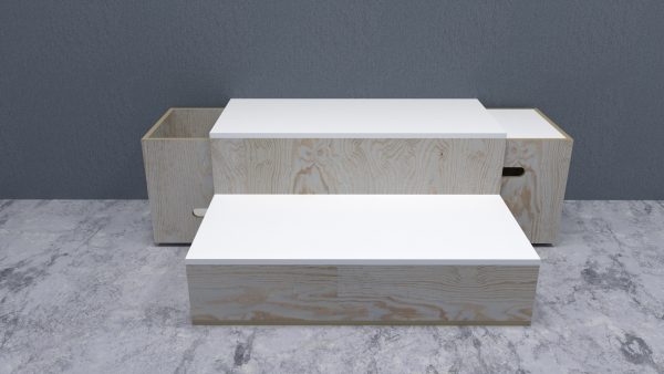 02 Tarima lectora para niños con 2 cubos multifuncionales.